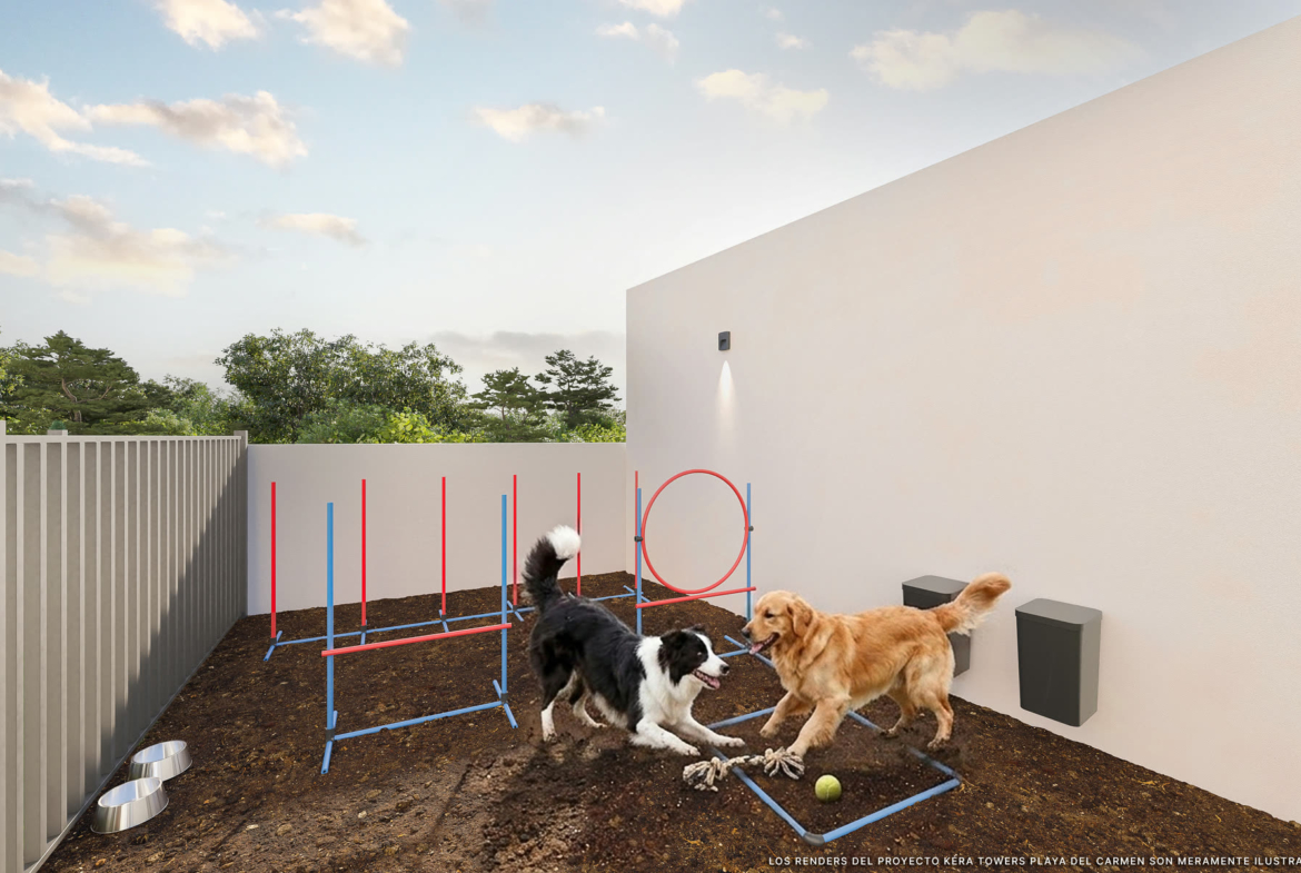 Kera Towers - aire de mascotas, projet immobilier Team Dan Alex